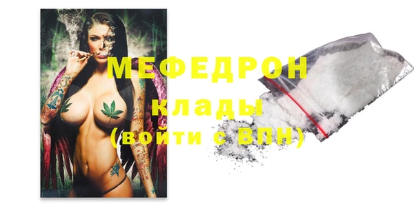 spice Богданович