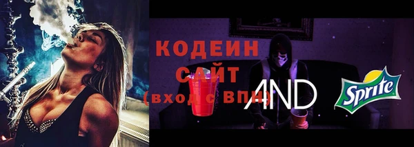 соль ск Богородск