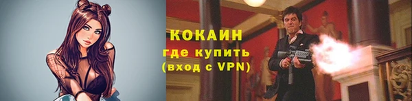 соль ск Богородицк