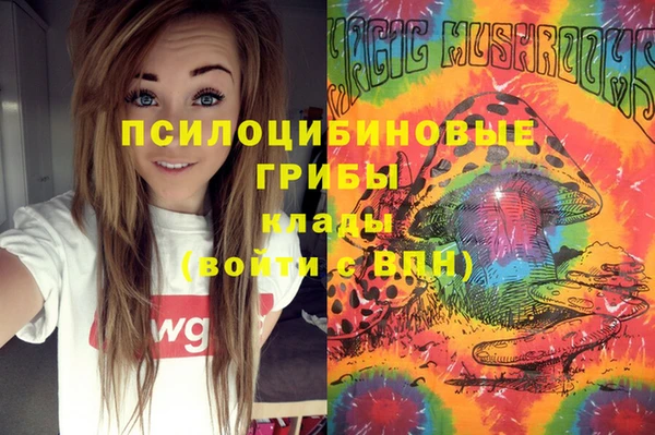 spice Богданович