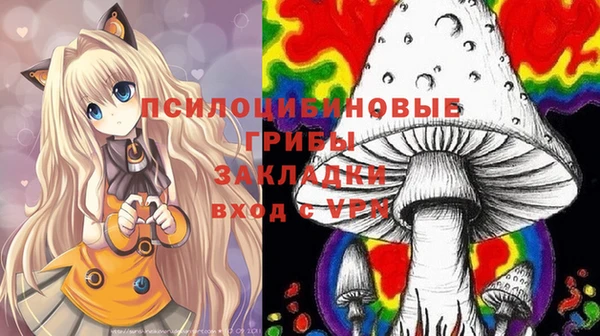 герыч Арсеньев