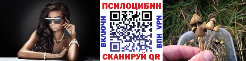 Галлюциногенные грибы прущие грибы  Спас-Деменск 
