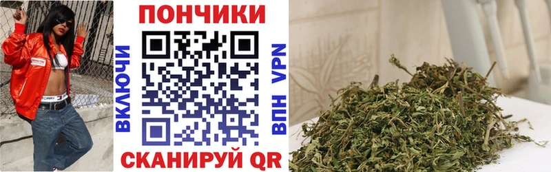 Конопля план  наркошоп  Спас-Деменск 